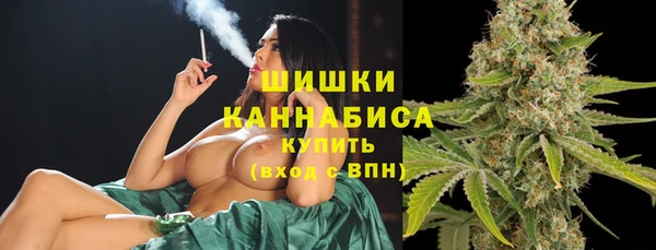 мдпв Богородск