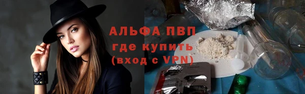 стаф Новозыбков