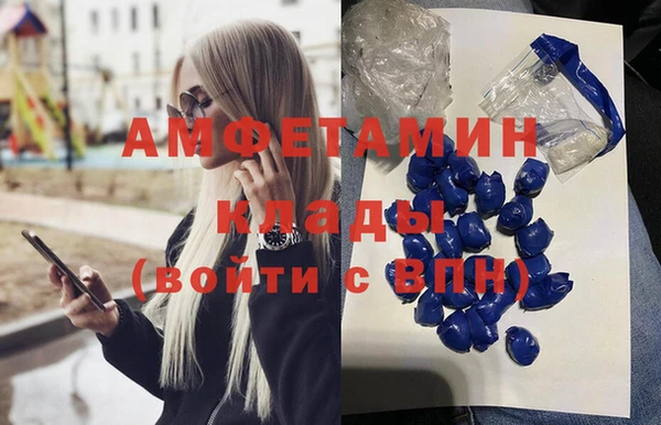 мдпв Богородск